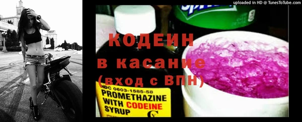 сатива Аркадак
