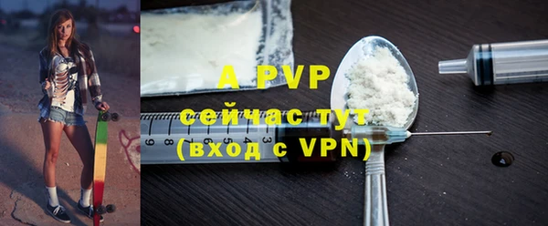прущие грибы Куровское