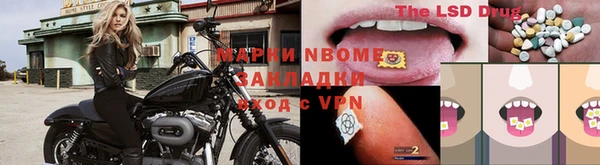 сатива Аркадак
