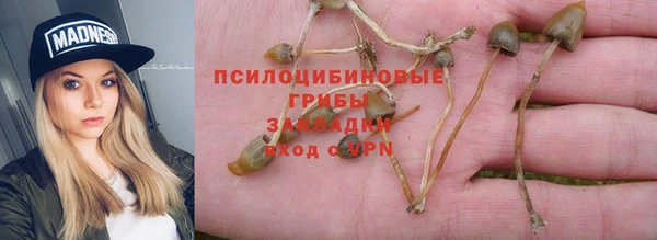 гашик Арсеньев