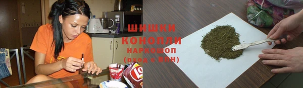 гашик Арсеньев