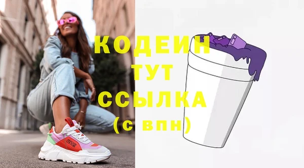 гашик Арсеньев