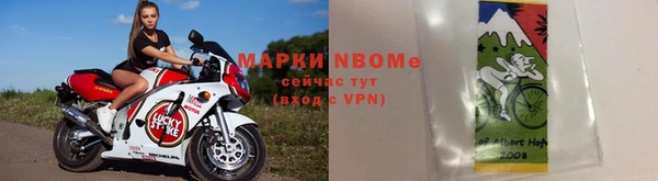 сатива Аркадак