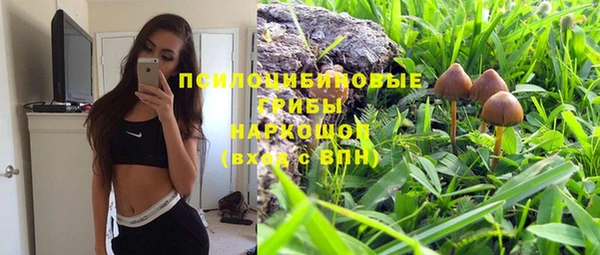 сатива Аркадак