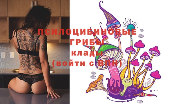 гашик Арсеньев