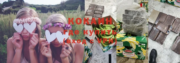 гашик Арсеньев