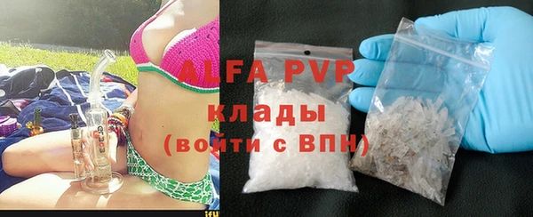 сатива Аркадак