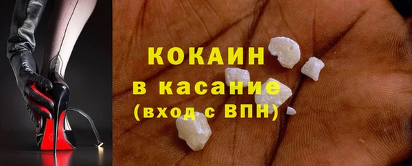 сатива Аркадак