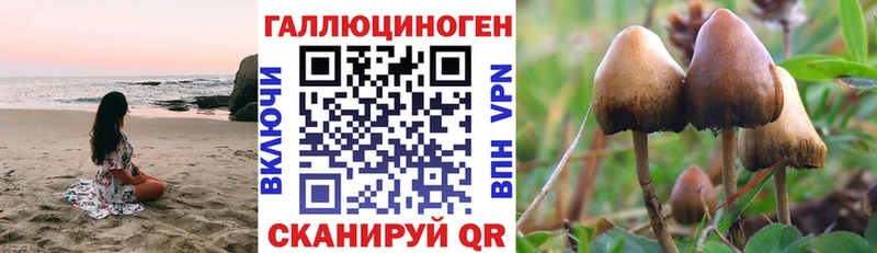 купить наркоту  Жуковский  Галлюциногенные грибы прущие грибы 